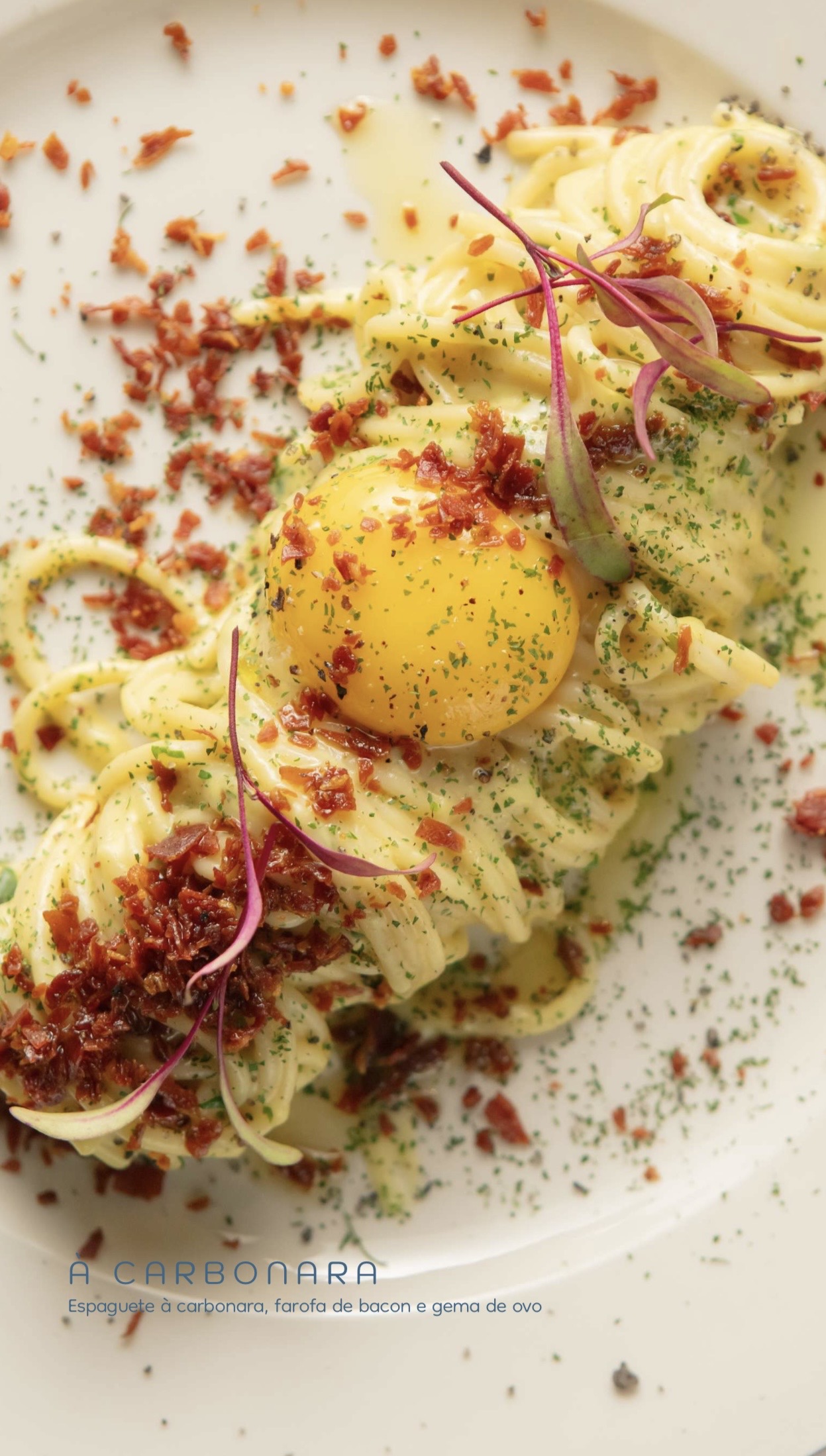 Espaguete à carbonara